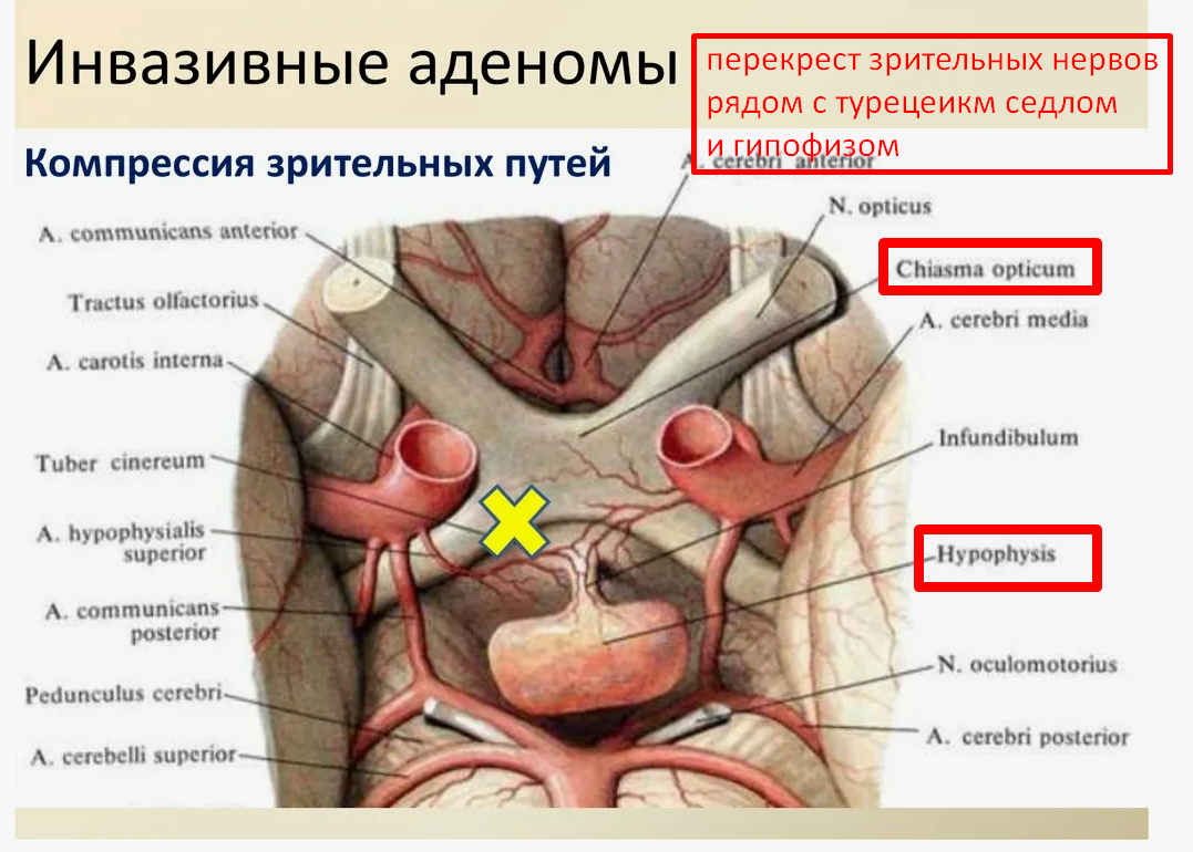 Screenshot_385