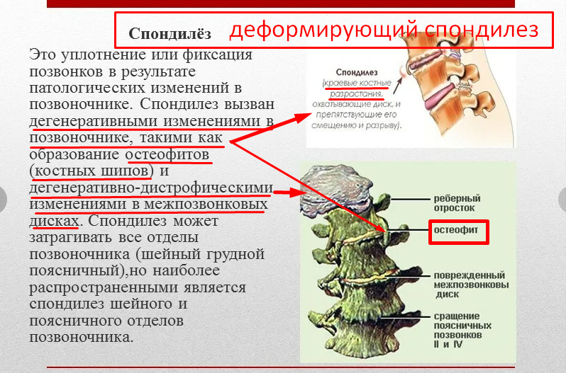Screenshot_210