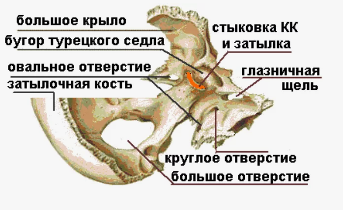 Screenshot_381