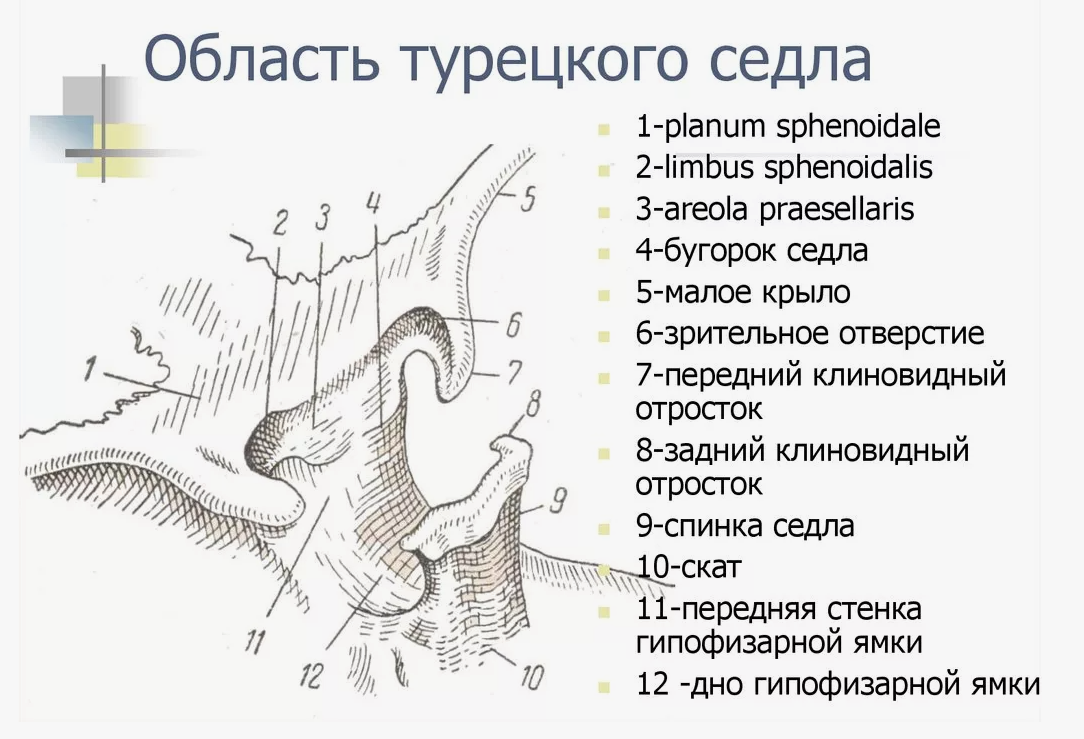 Screenshot_380
