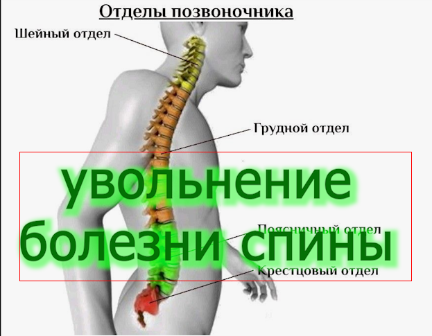 Окончание контракта , заболевания спины - частые вопросы voenset.ru окончани е контракта