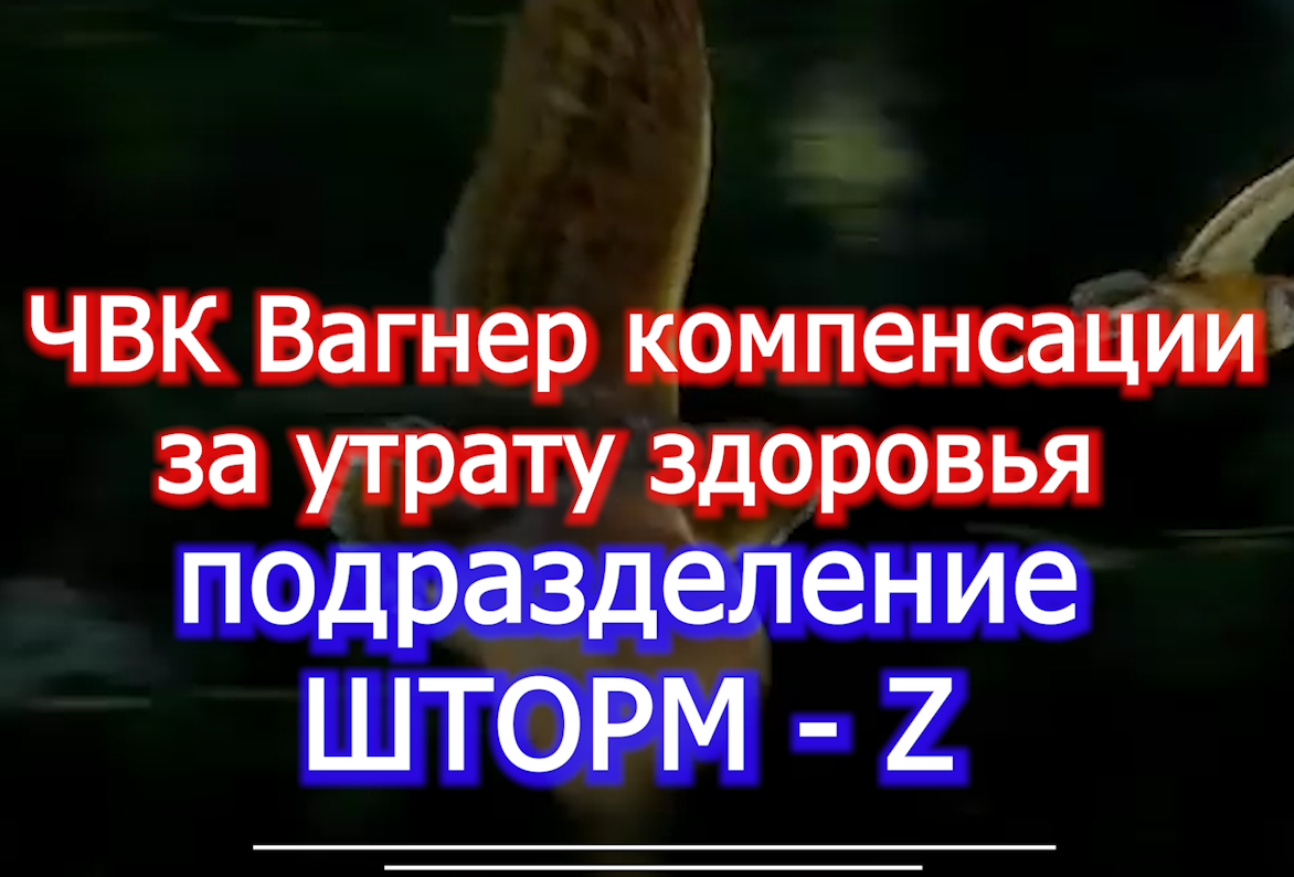 шторм Z -- ЧВК ВАГНЕР - выплаты по ранению травма контузии voenset.ru ч.1-